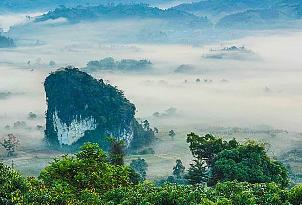Forested limestone hills in a misty tropical valley