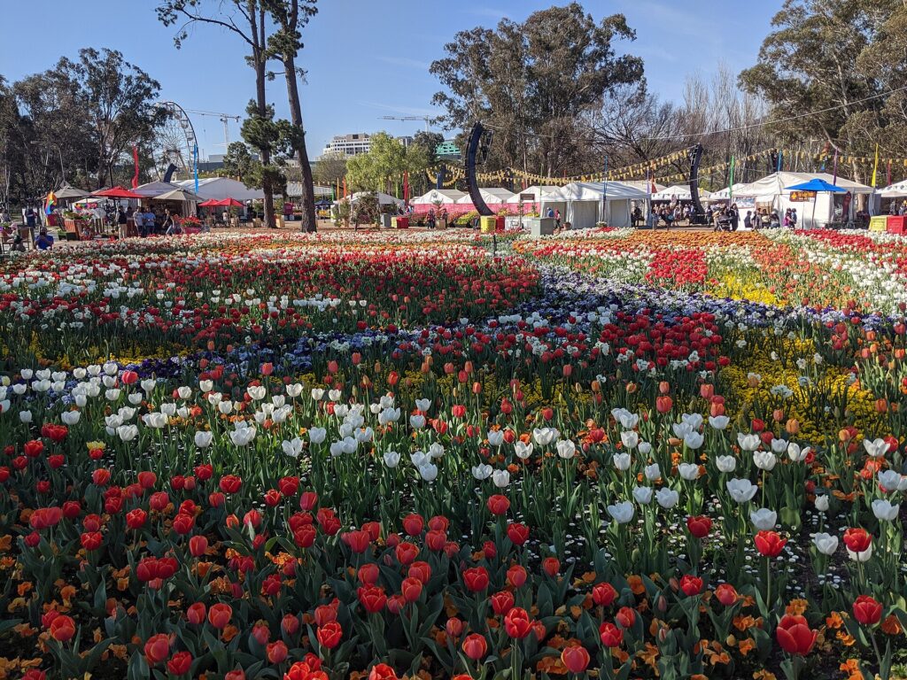 Flower beds at Floriade in Canberra in 2019