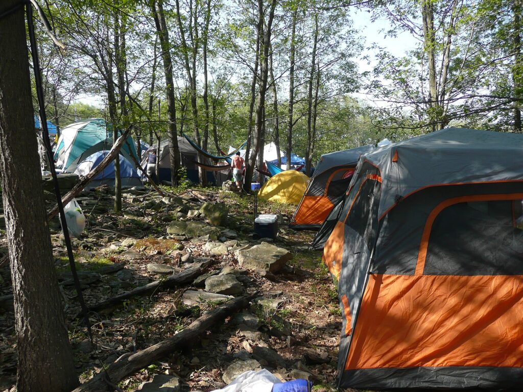 Rows of camping tents pitched on grass at a folk festival in the late afternoon